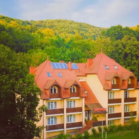 Gortenziya Polyana (Transcarpathia)