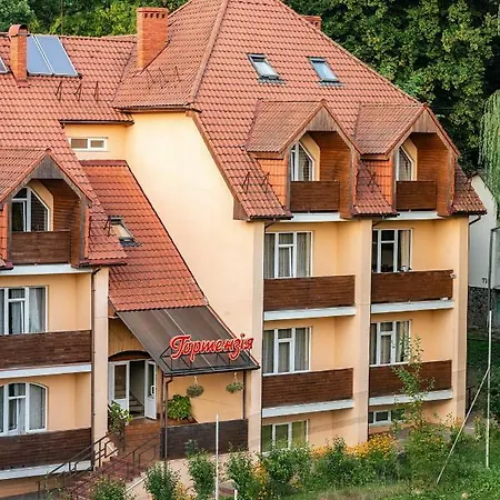 Отель Gortenziya *